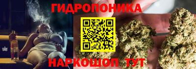 амф Рыбинск