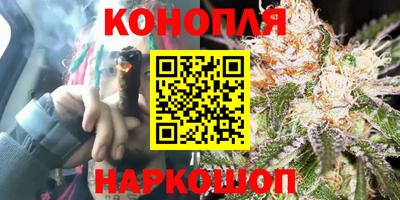 прущие грибы Рузаевка