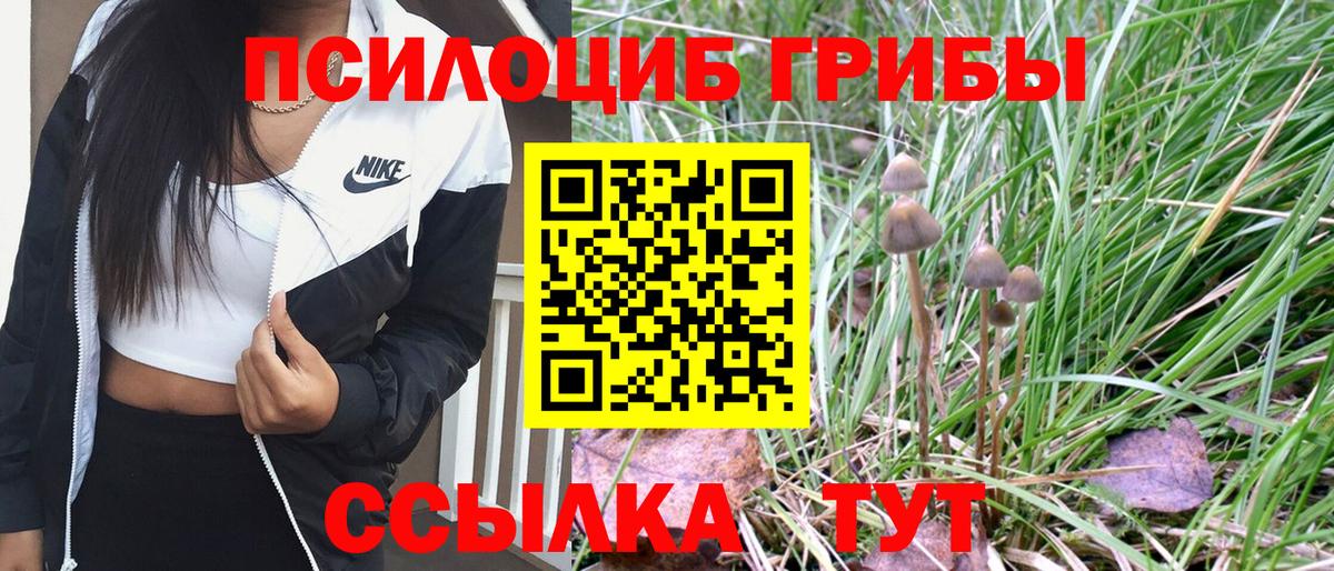 где найти наркотики  Псилоцибиновые грибы Psilocybine cubensis  Вход с VPN  Псилоцибиновые грибы Psilocybe  Нягань 